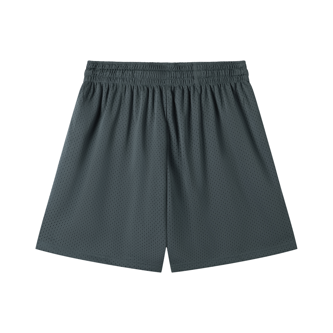 Invictus Training Mesh Shorts